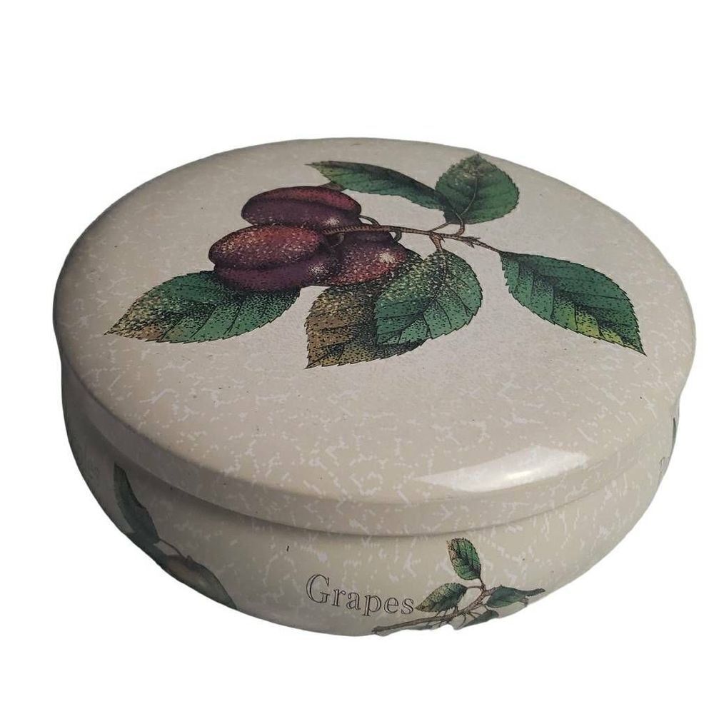 Fruit Tin Storage Container